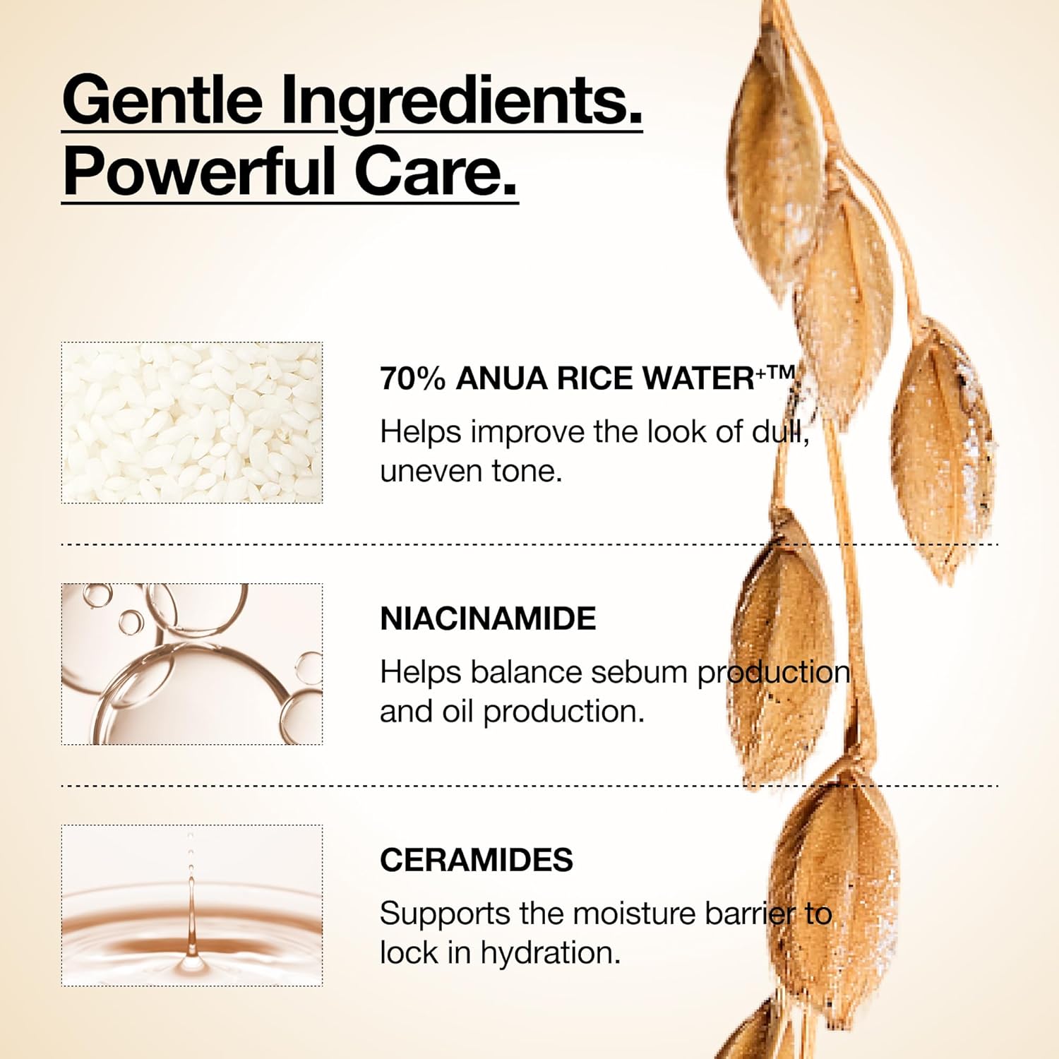 Anua Rice 70 Glow Milky Toner 150ml