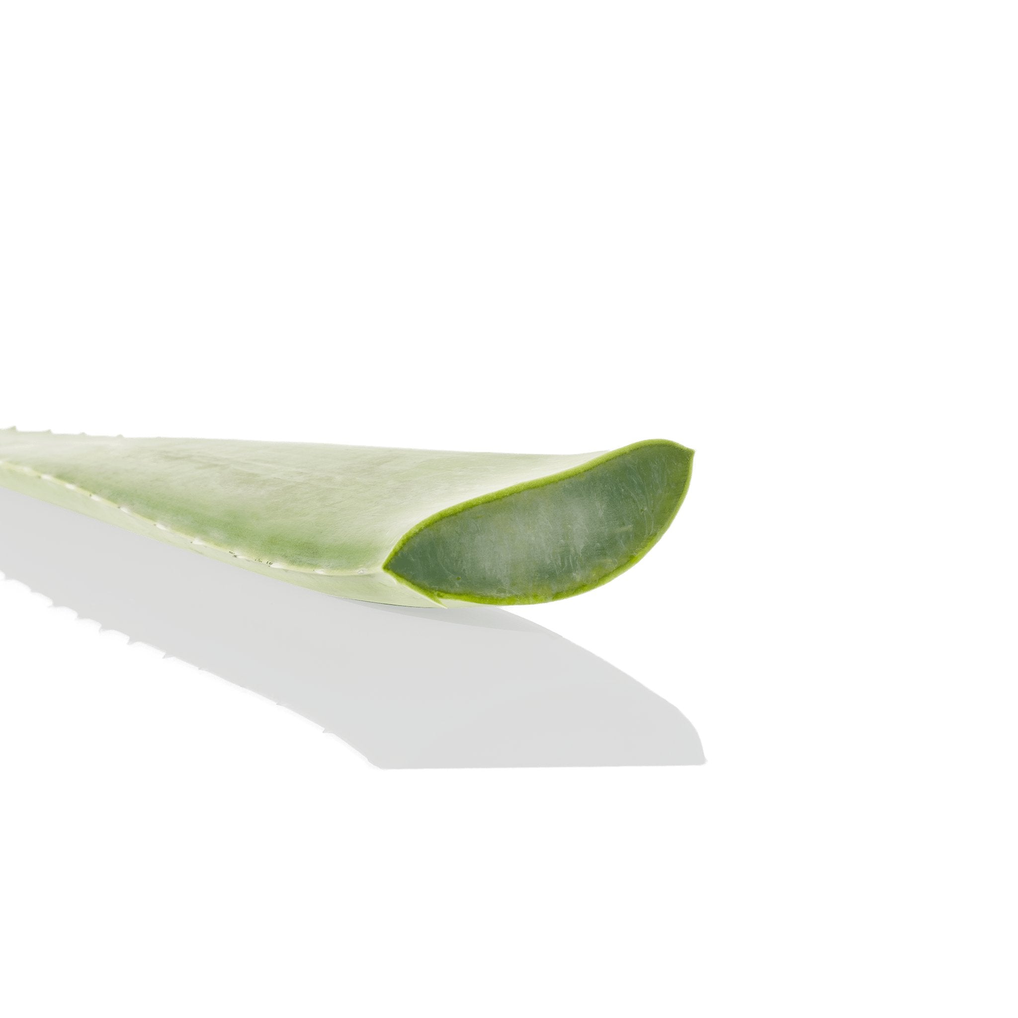 Byphasse Hair Removal Cream With Aloe Vera Extract 125ml
