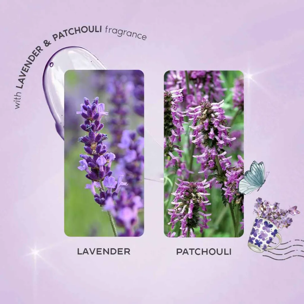 French Lavender Fields 1.webp