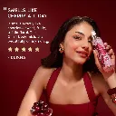 Sugar Plum Cherry 4.webp